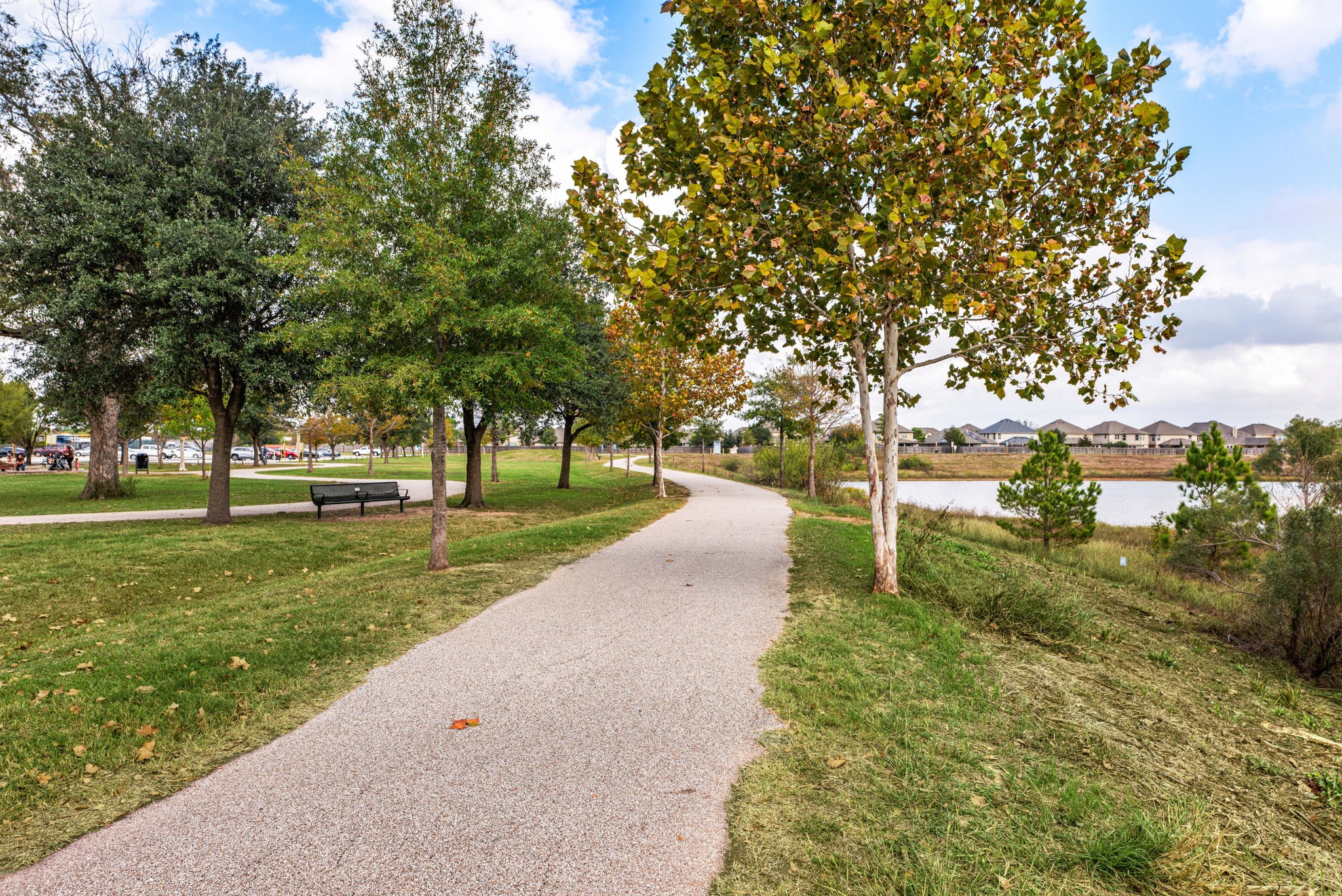 24014 Adobe Ridge Lane Katy, TX 77493 - Photo 41 of 45 a view of a park with large trees