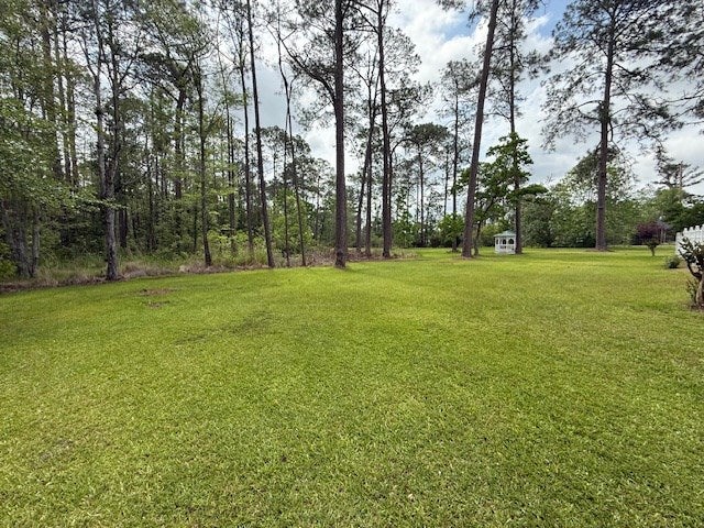 5978 Coppage Road Hahira, GA 31632 - Photo 62 of 73 Gallery Image 62