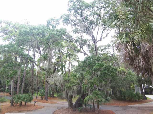 862 Club Cottage Road Edisto Beach, SC 29438 - Photo 16 of 24 Additional Photo