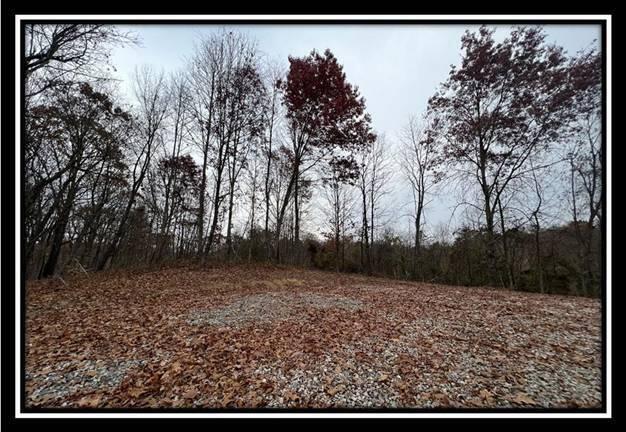 35816 Buck Run Road, Unit TRACT 11 Langsville, OH 45741 - Photo 11 of 31 image011