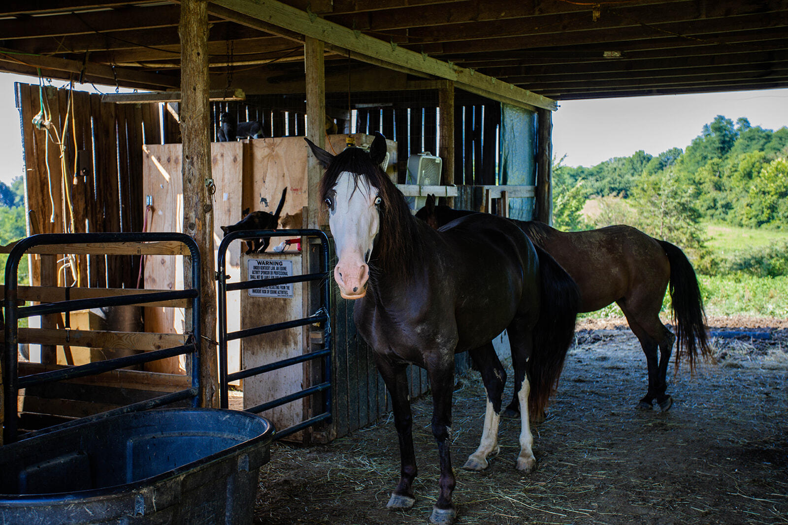 1368 Mays Road Lawrenceburg, KY 40342 - Photo 87 of 92 8G1A4042