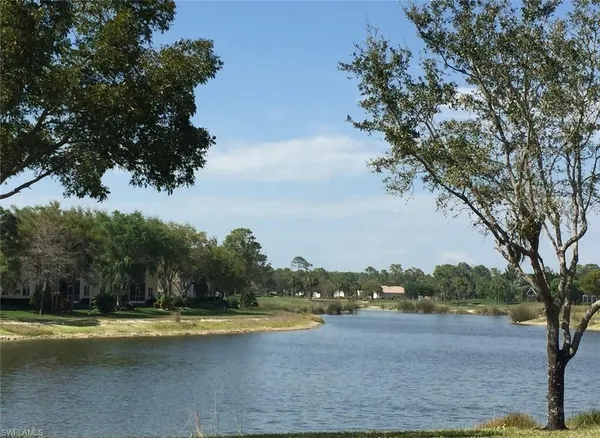 a view of a swimming pool and trees in the background