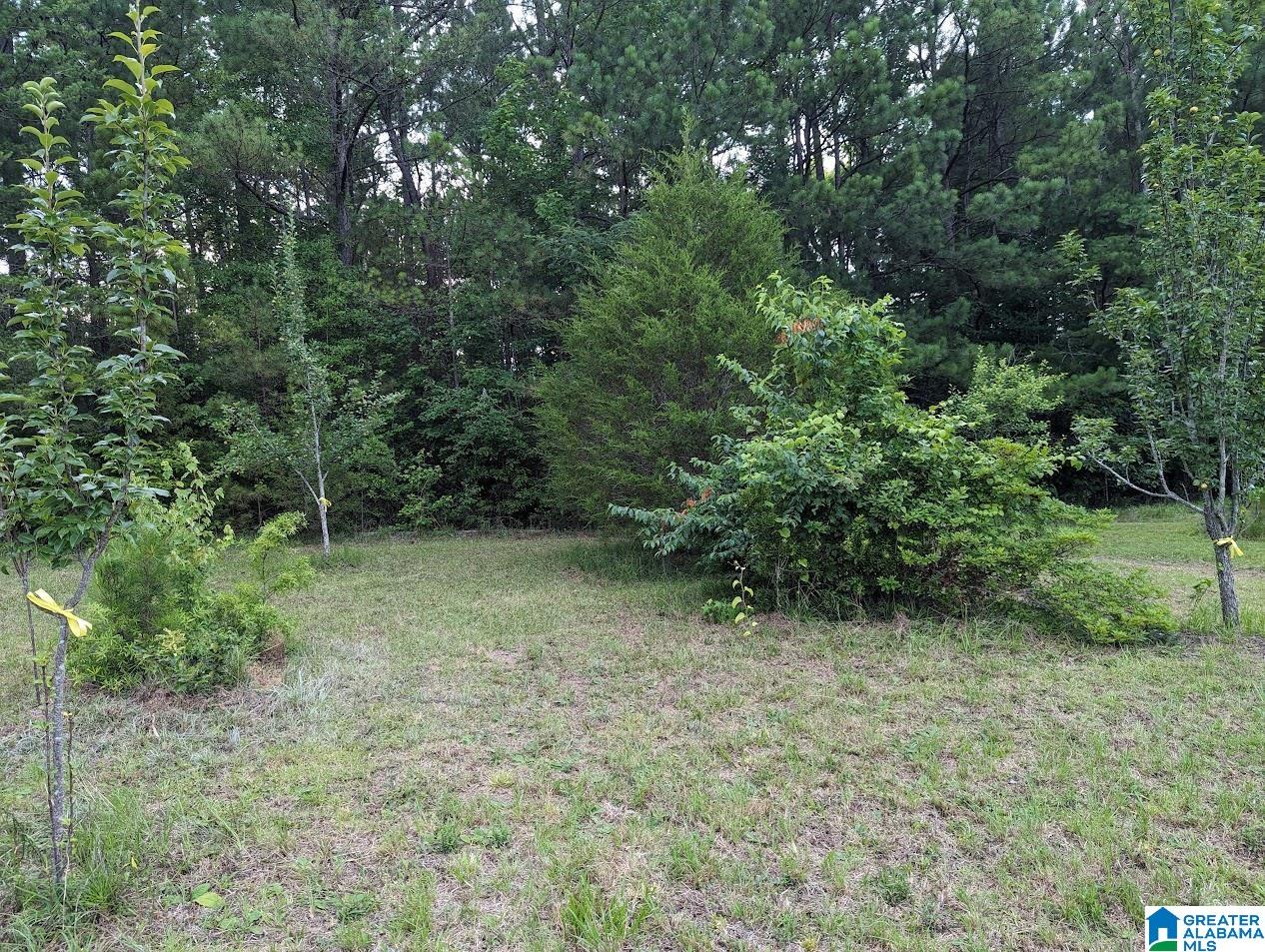 310 County Road 249 Clanton, AL 35046 - Photo 74 of 85