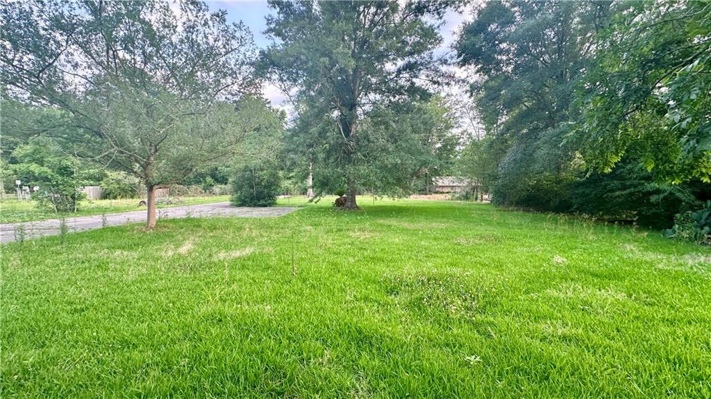 20053 Esterbrook Road Ponchatoula, LA 70454 - Photo 3 of 24
