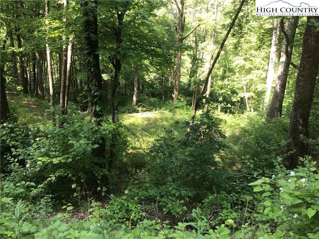 Lot 8 Mountain Shadows Road Jefferson, NC 28640 - Photo 3 of 5 Gallery Image 3