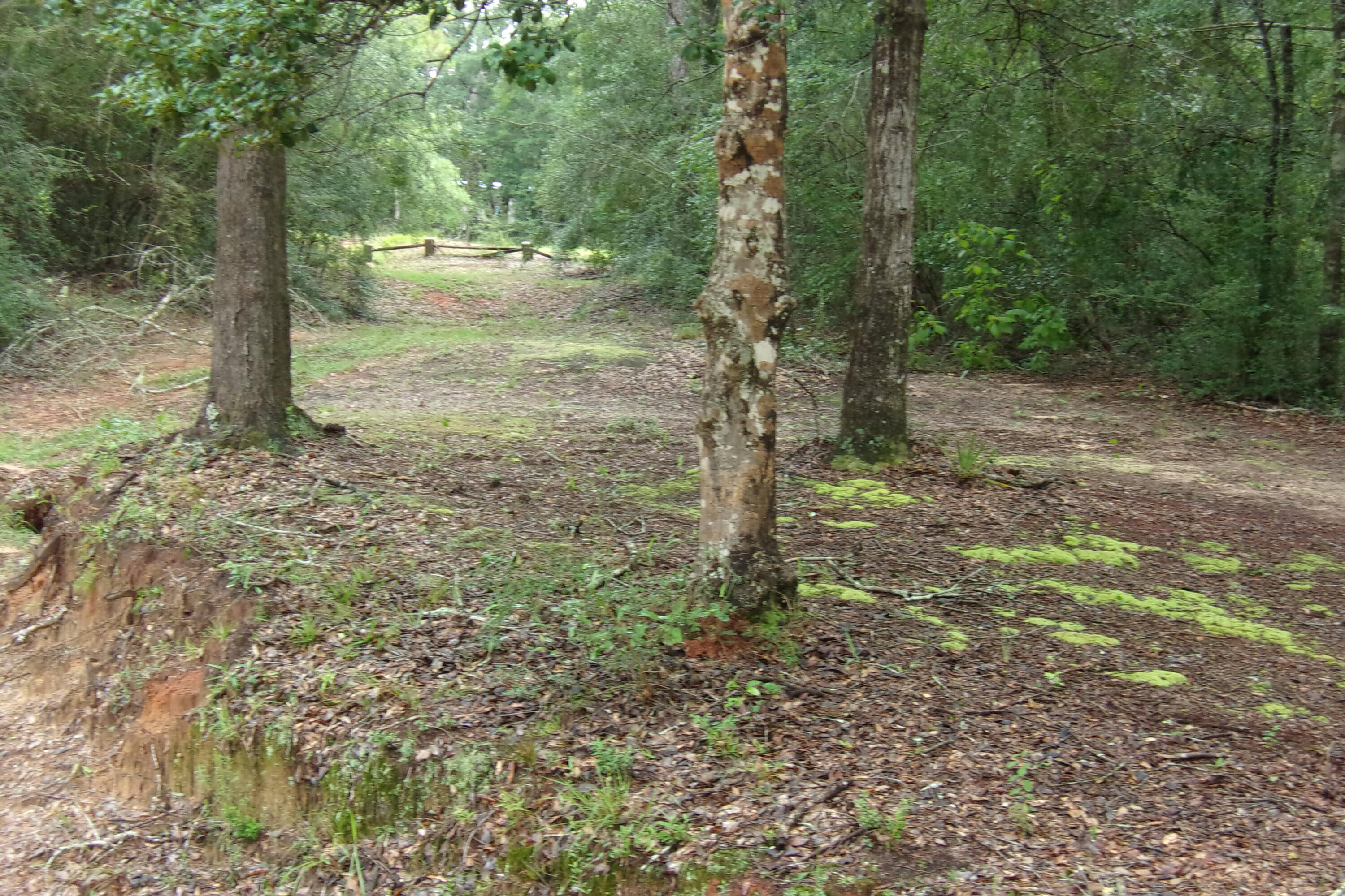 4140 Log Lake Road Holt, FL 32564 - Photo 18 of 22 100_0434
