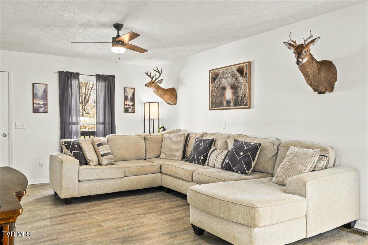 144 Zeb Grindstaff Road Elizabethton, TN 37643 - Photo 11 of 48 07-128A4058