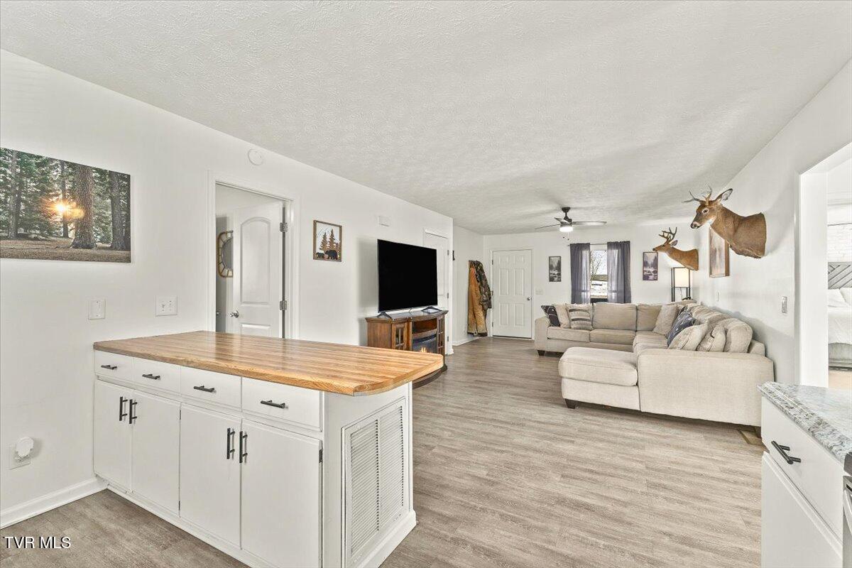 144 Zeb Grindstaff Road Elizabethton, TN 37643 - Photo 12 of 48 08-128A4074