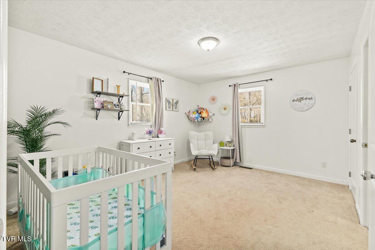144 Zeb Grindstaff Road Elizabethton, TN 37643 - Photo 25 of 48 21-128A4028