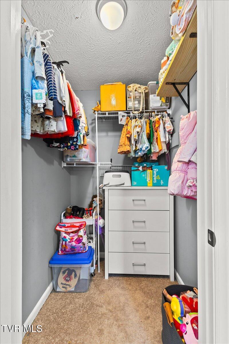 144 Zeb Grindstaff Road Elizabethton, TN 37643 - Photo 36 of 48 31-128A4036