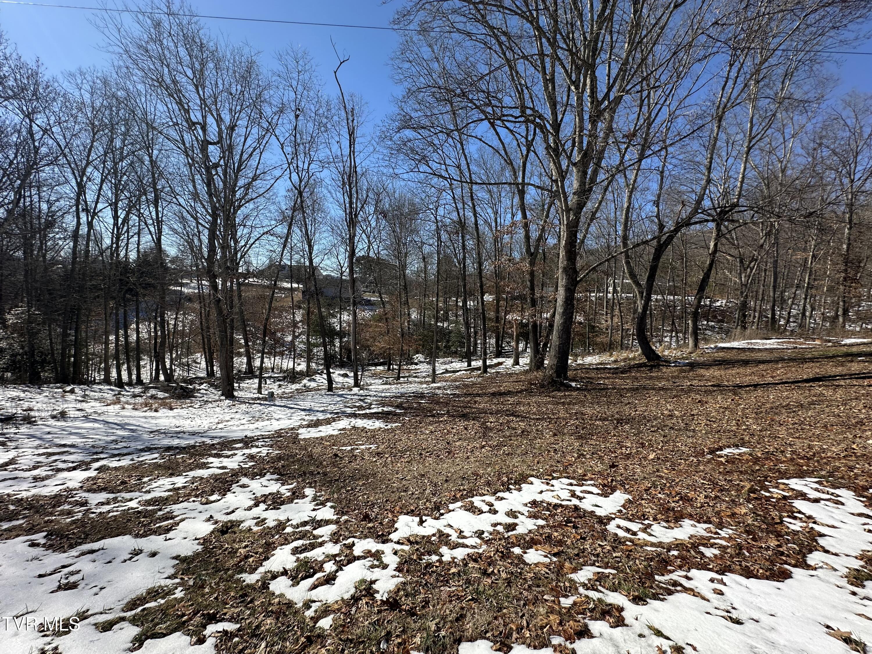 144 Zeb Grindstaff Road Elizabethton, TN 37643 - Photo 44 of 47 IMG_8173