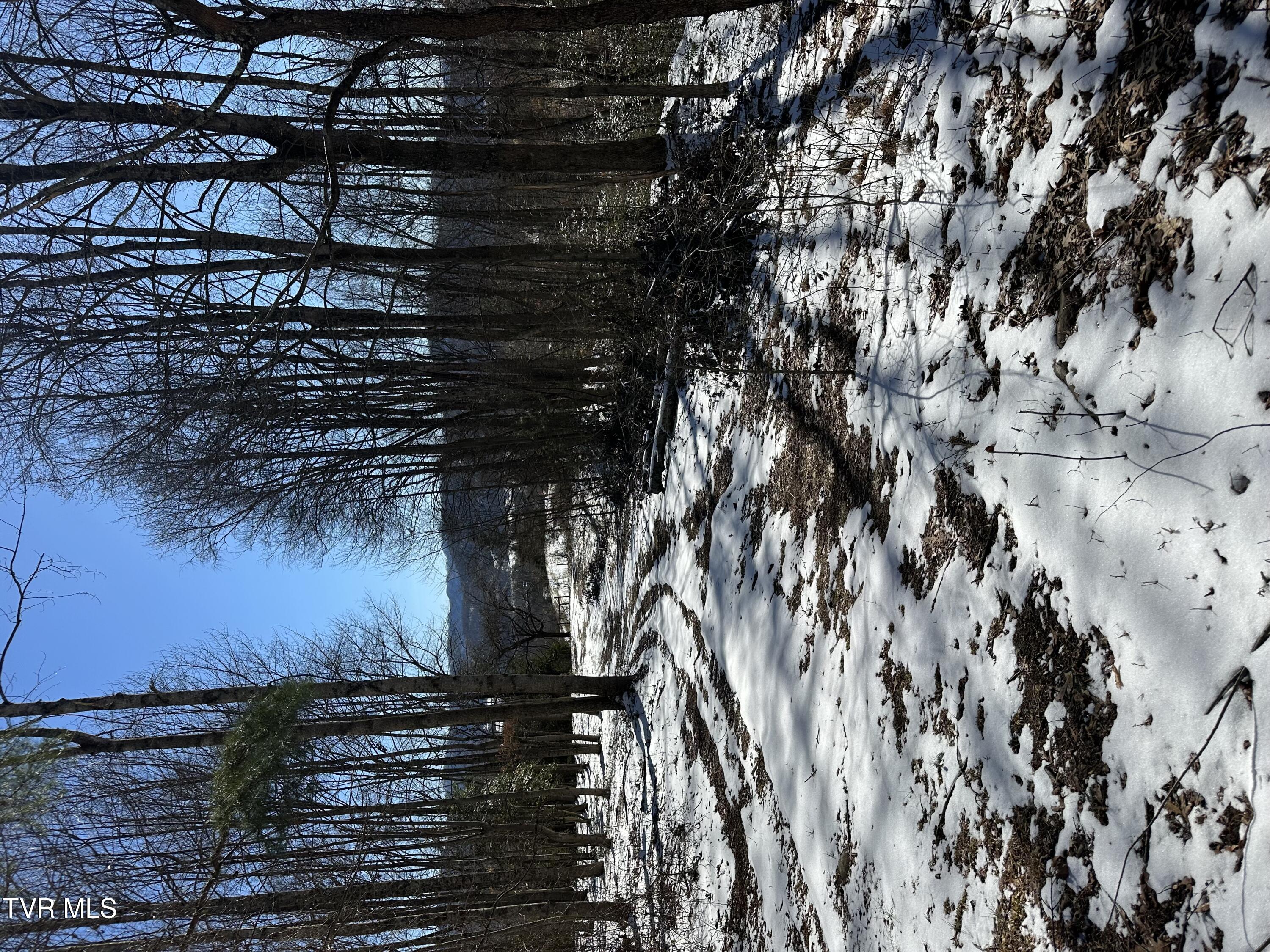 144 Zeb Grindstaff Road Elizabethton, TN 37643 - Photo 46 of 47 IMG_8176