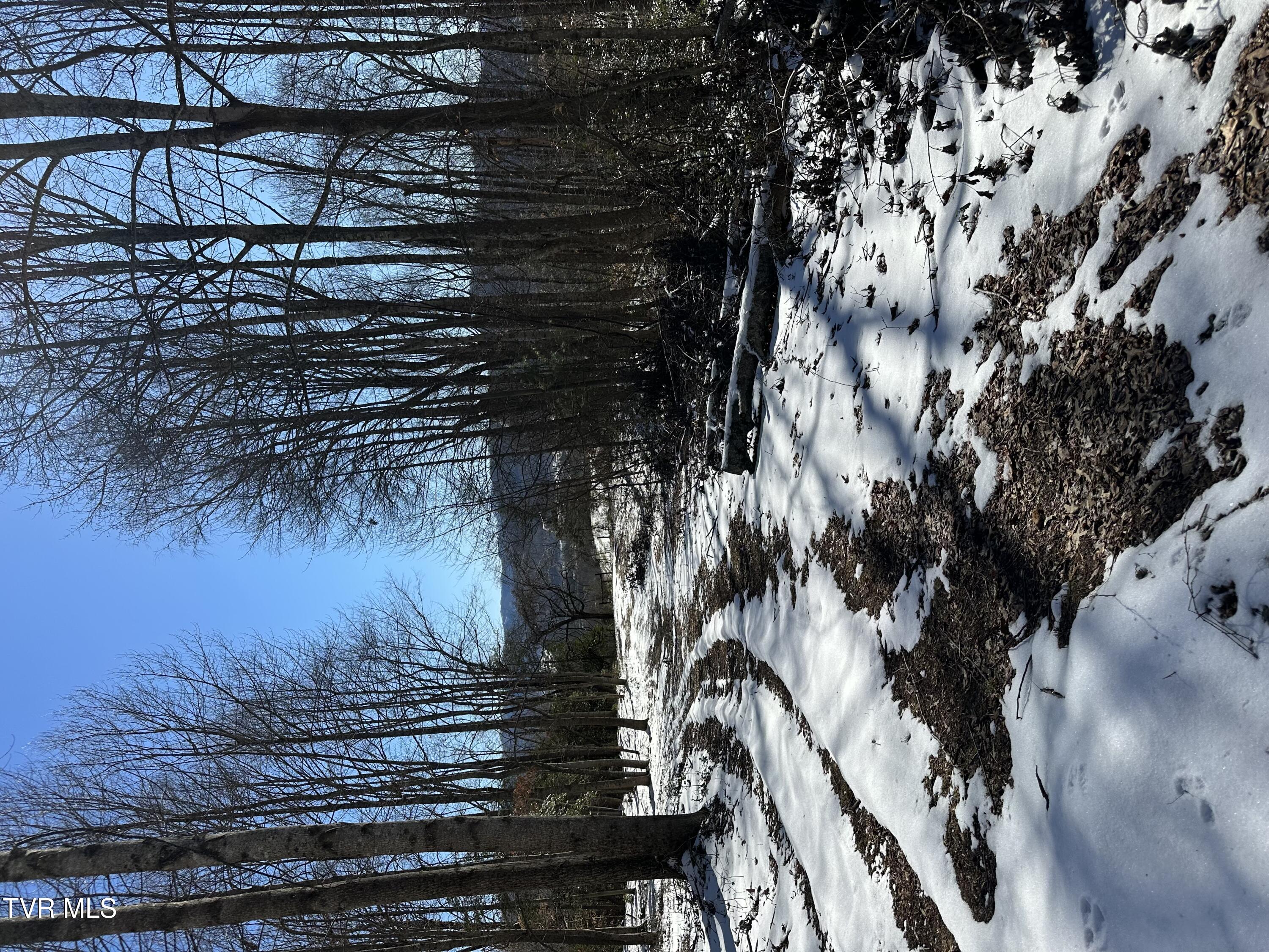 144 Zeb Grindstaff Road Elizabethton, TN 37643 - Photo 47 of 47 IMG_8178