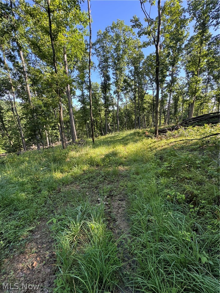 Stone Quarry Road Danville, OH 43014 - Photo 10 of 50