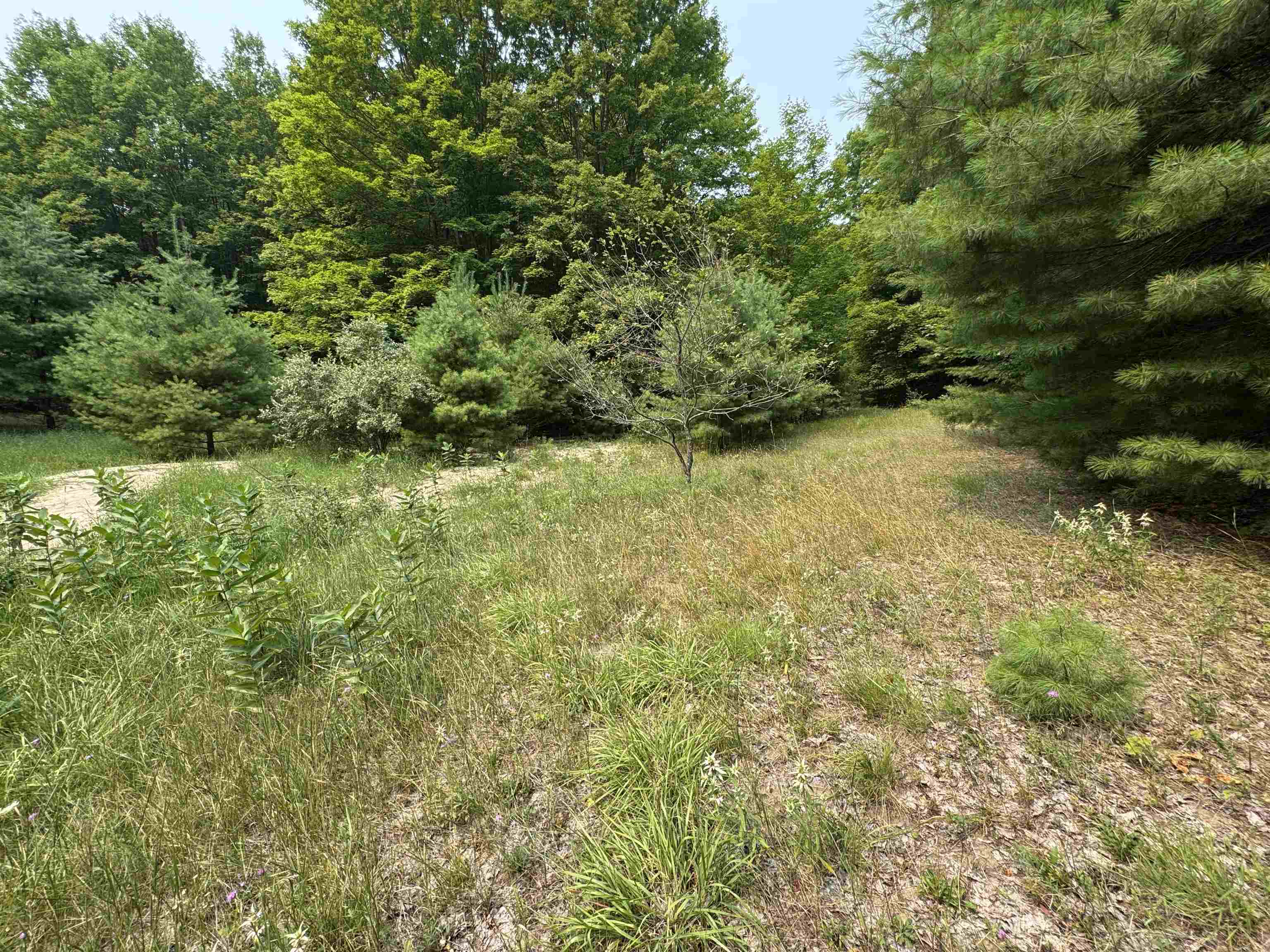 Lot #4 East Bellinger Road, Unit BELLINGER ESTATES Cedar, MI 49621 - Photo 17 of 27