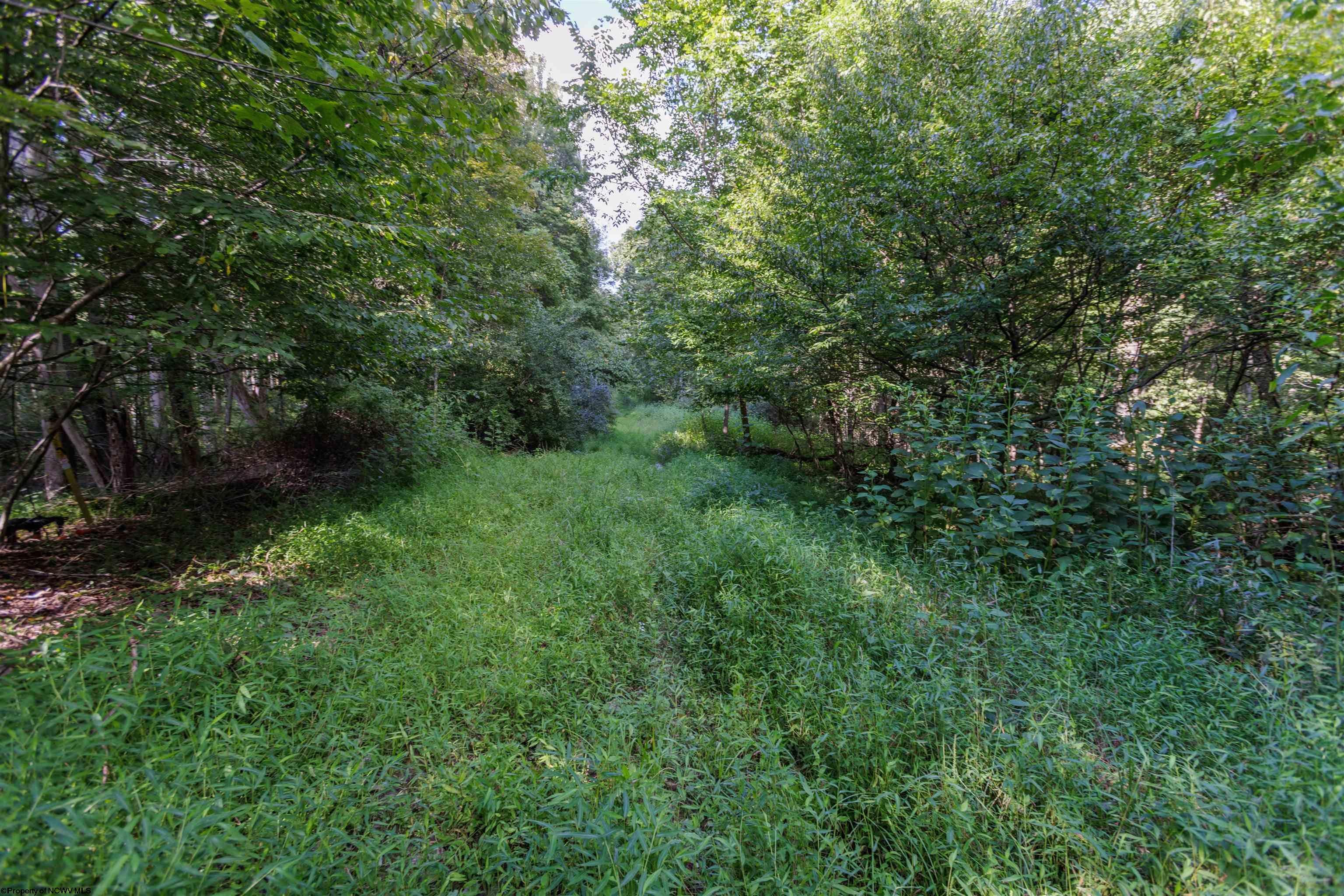 Tbd Green Valley Road Buckhannon, WV 26201 - Photo 42 of 49 Gallery Image 42