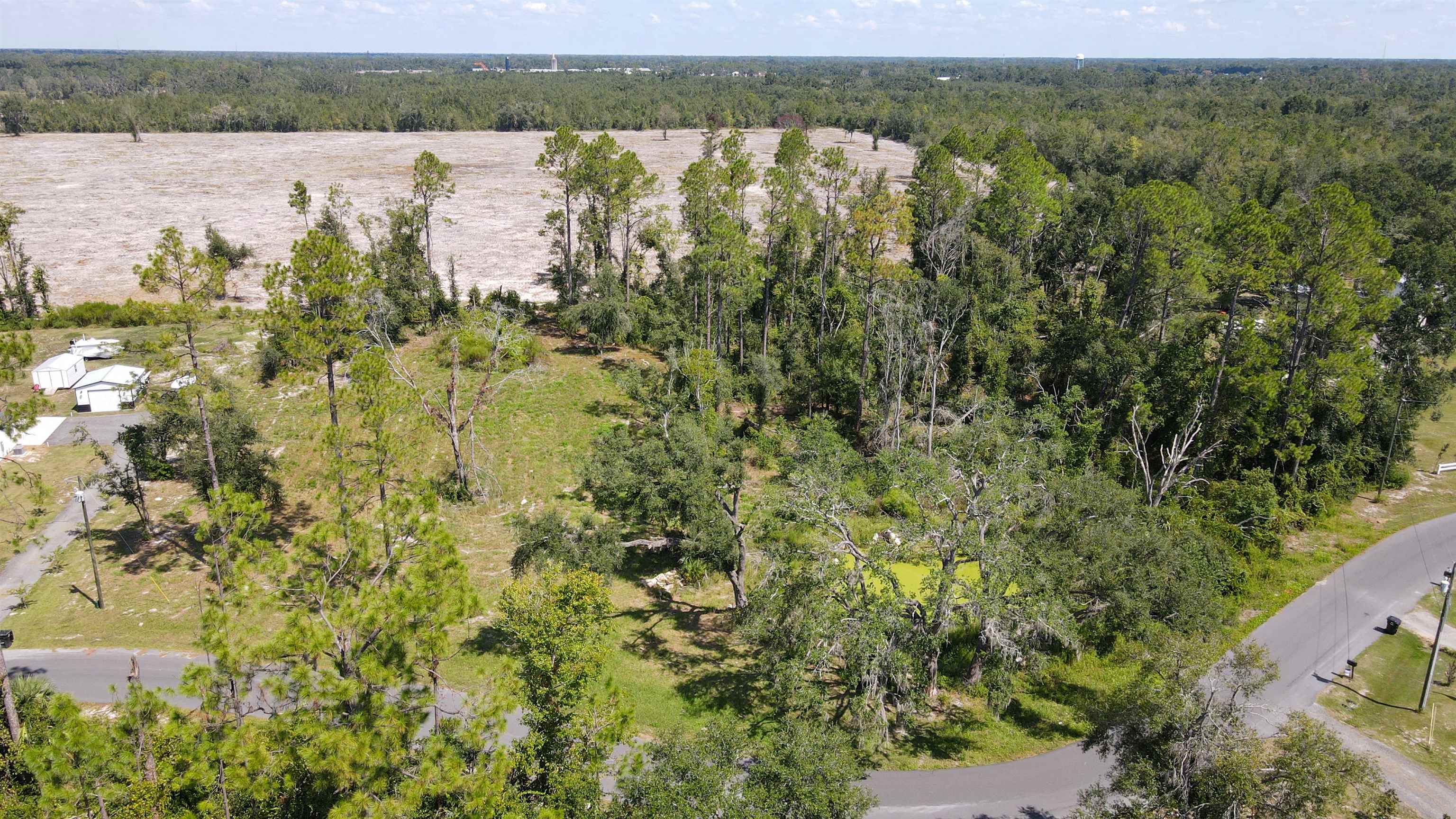 415 Judson Drive Perry, FL 32348 - Photo 3 of 15