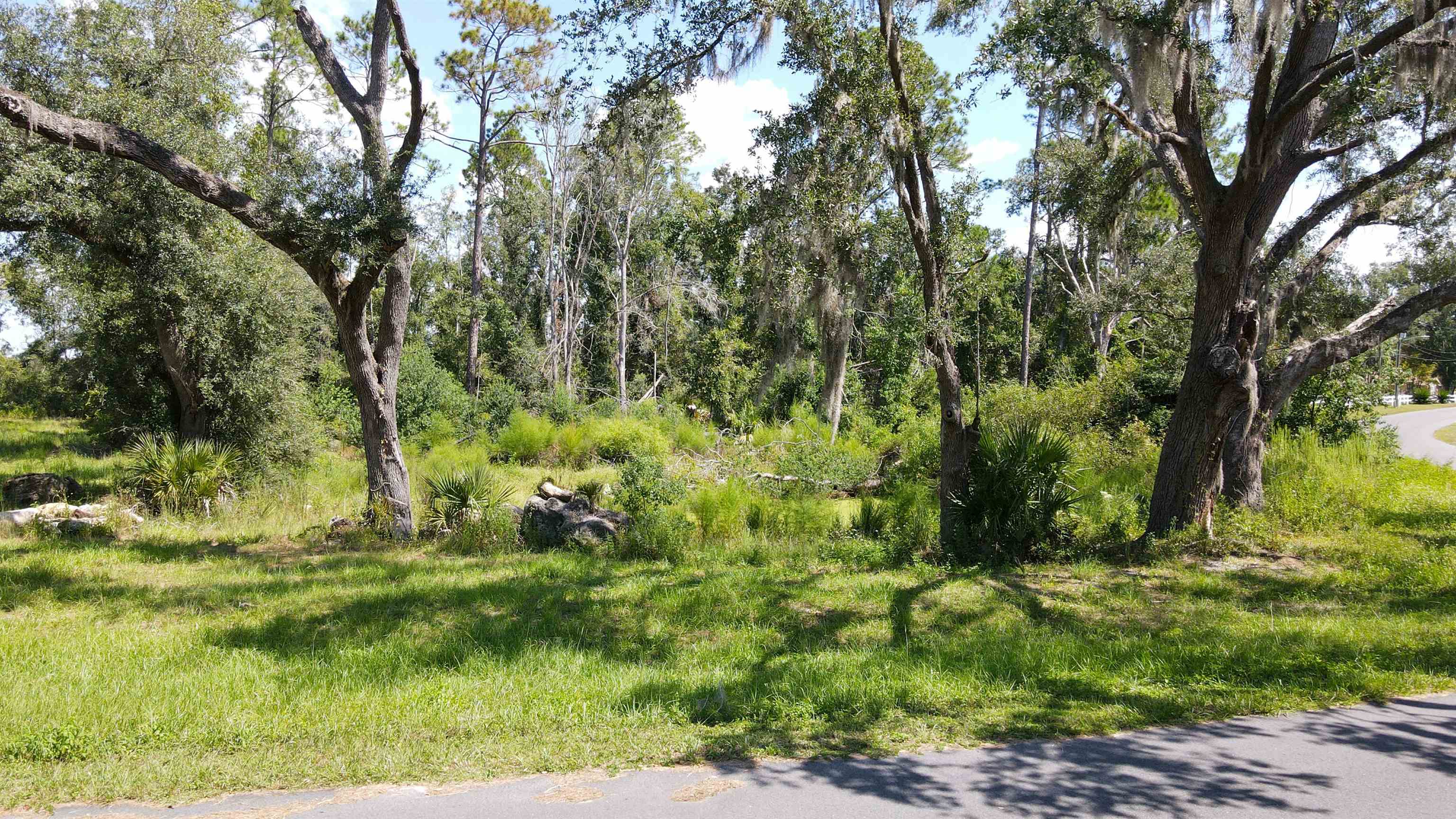 415 Judson Drive Perry, FL 32348 - Photo 4 of 15