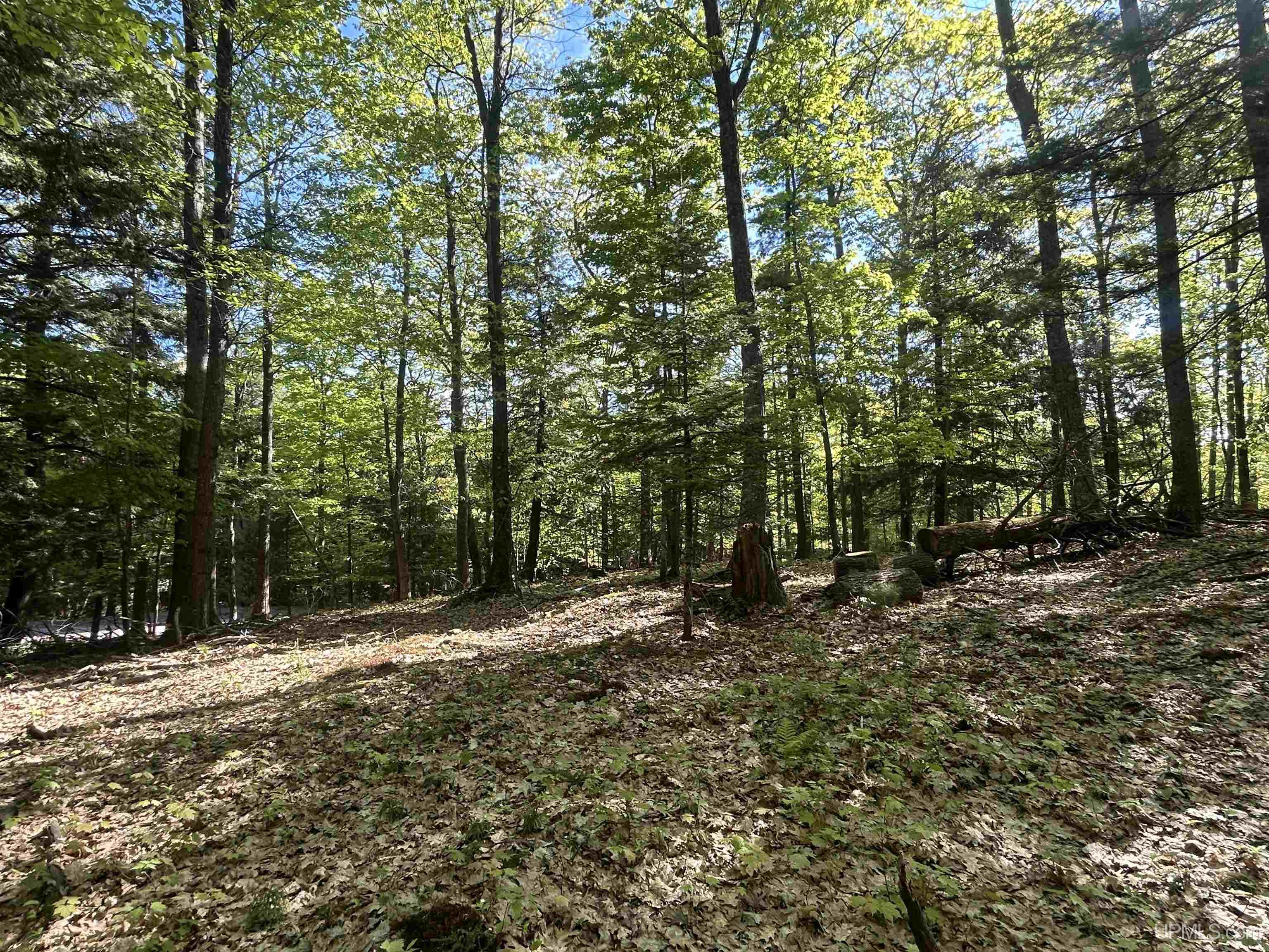Tbd McClure Dm Road Negaunee, MI 49866 - Photo 2 of 16