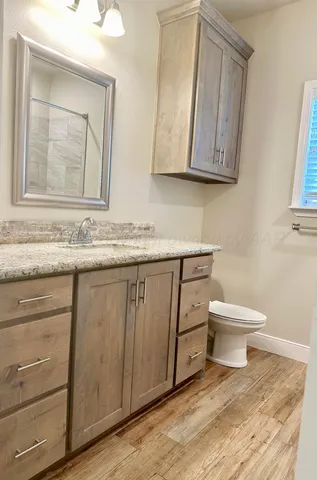 a bathroom with a granite countertop toilet sink and mirror
