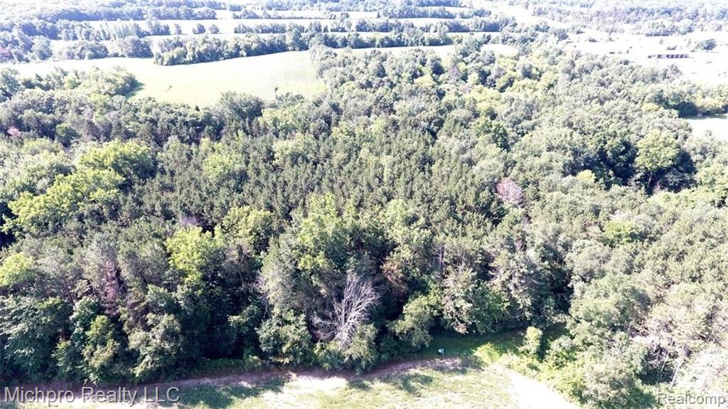Parcel 2 South Lapeer Road Metamora, MI 48455 - Photo 15 of 17
