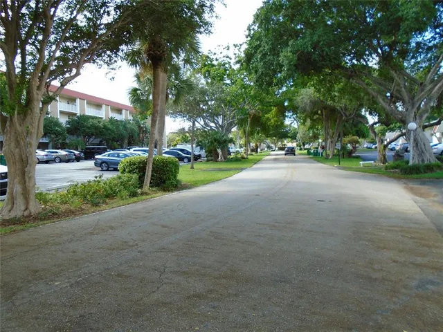 a view of road and trees