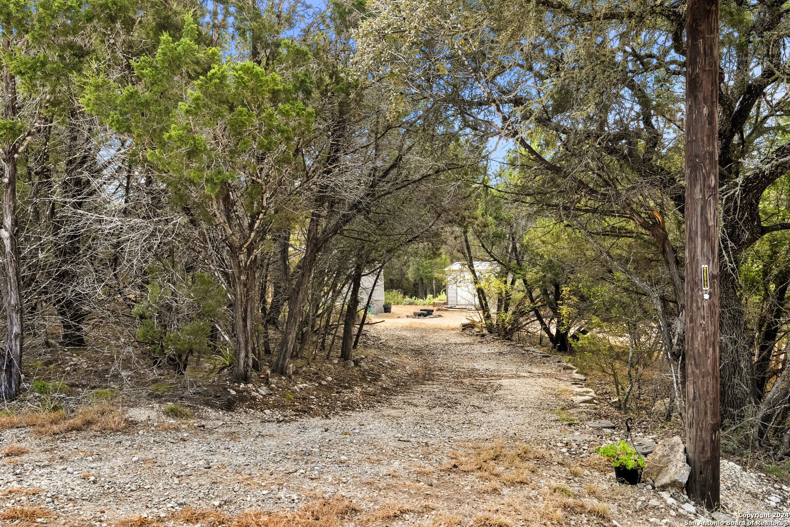 7971 Pronghorn Drive Spring Branch, TX 78070 - Photo 3 of 53 a view of a yard with large trees