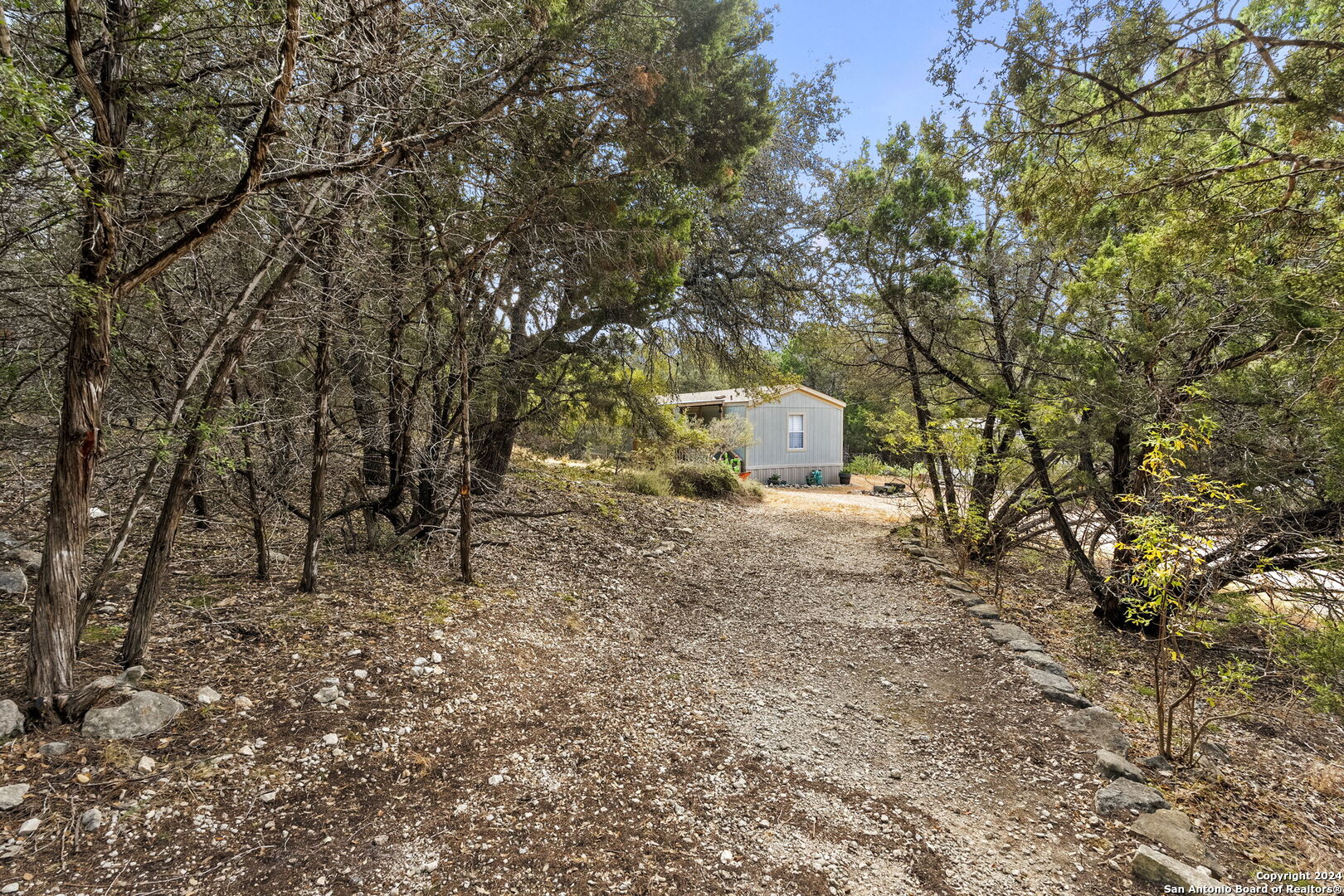 7971 Pronghorn Drive Spring Branch, TX 78070 - Photo 4 of 53 a view of a tree in the middle of a yard
