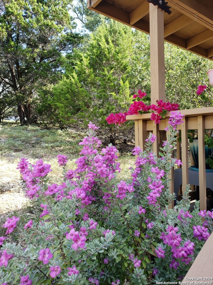 7971 Pronghorn Drive Spring Branch, TX 78070 - Photo 52 of 53