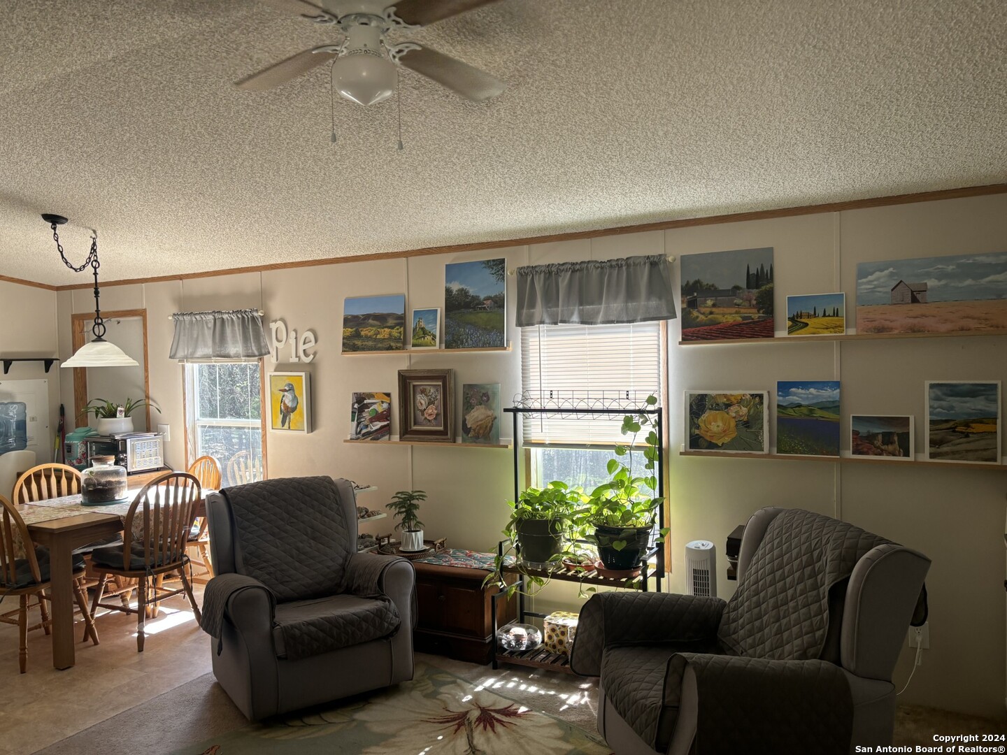 7971 Pronghorn Drive Spring Branch, TX 78070 - Photo 10 of 53 a living room with furniture and a window