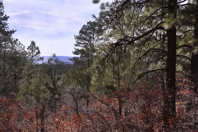 a view of mountain view with lots of trees
