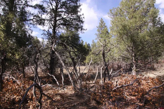 a view of an outdoor space