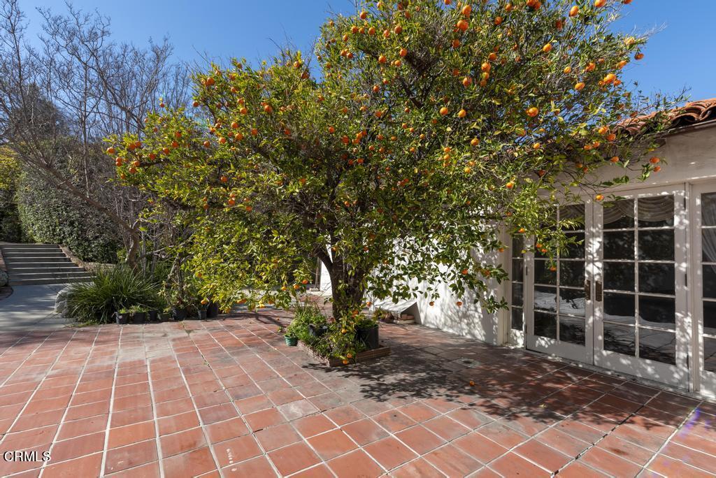 893 Gainsborough Drive Pasadena, CA 91107 - Photo 37 of 62 a view of a yard with plants and trees