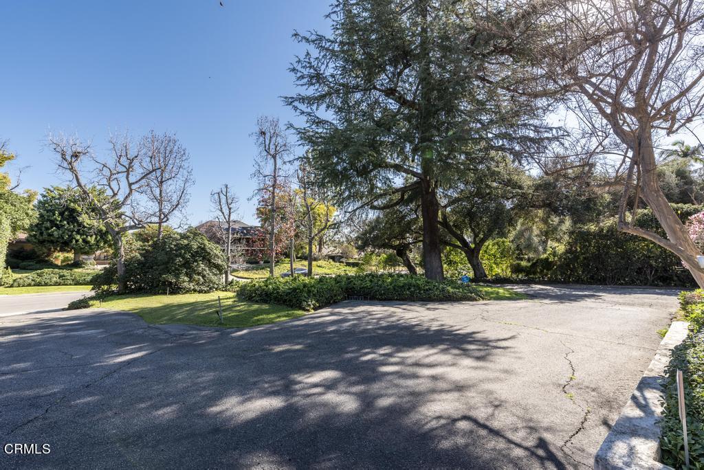 893 Gainsborough Drive Pasadena, CA 91107 - Photo 7 of 62 a view of a yard with plants and trees