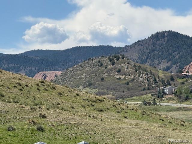 9723 Marmot Ridge Circle Littleton, CO 80125 - Photo 31 of 36