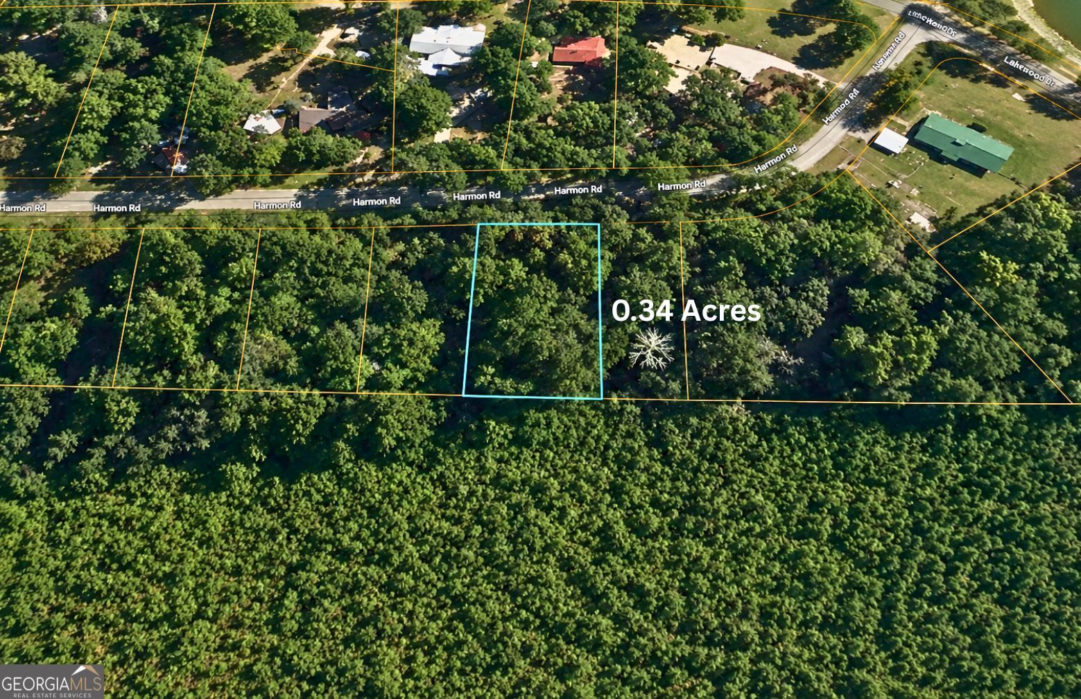 Tbd1 Harmon Road Swainsboro, GA 30401 - Photo 5 of 14