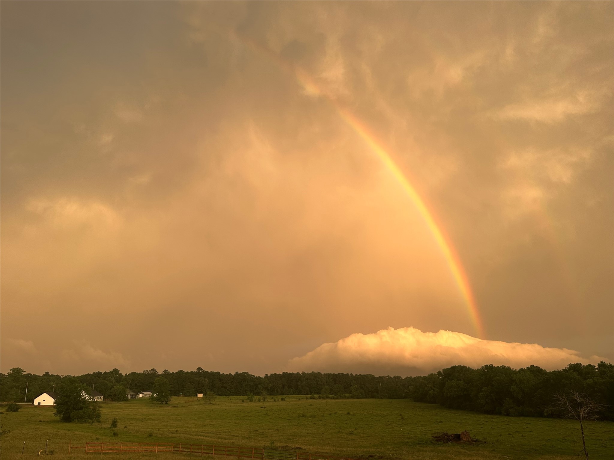 1000 Denson Allen Road Coldspring, TX 77331 - Photo 47 of 50 View from back