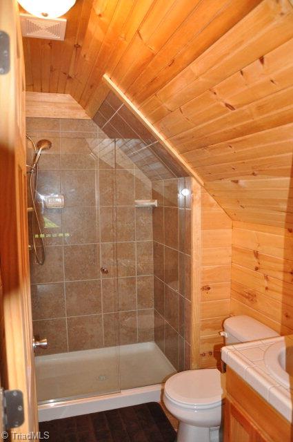 3206 Buck Mountain Road Purlear, NC 28665 - Photo 11 of 22