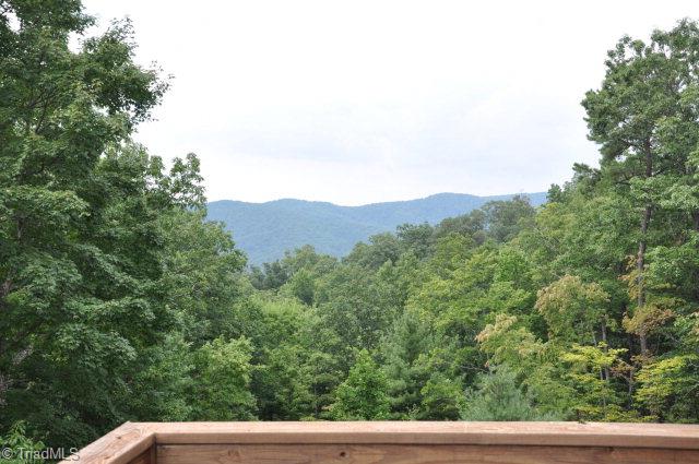 3206 Buck Mountain Road Purlear, NC 28665 - Photo 14 of 22