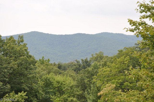 3206 Buck Mountain Road Purlear, NC 28665 - Photo 15 of 22