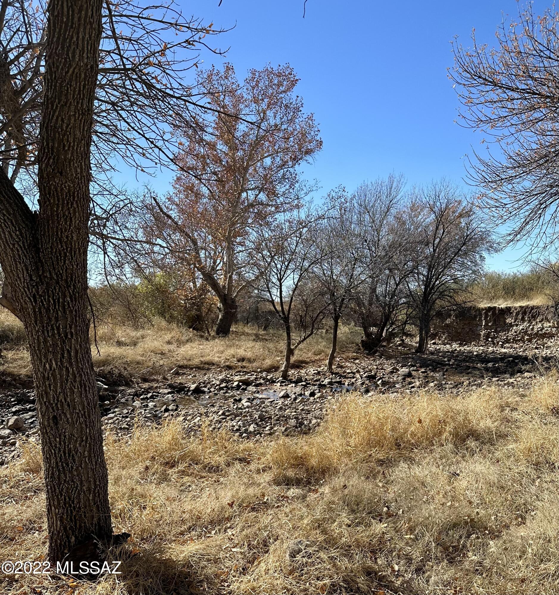 Tbd Turkey Creek Road, Unit 7N Pearce, AZ 85625 - Photo 5 of 10