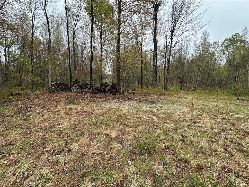 4815 Texas Road Croghan, NY 13619 - Photo 12 of 19