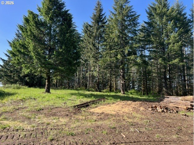 Northwest Lodge Road Banks, OR 97106 - Photo 3 of 8 a big yard with lots of green space and trees