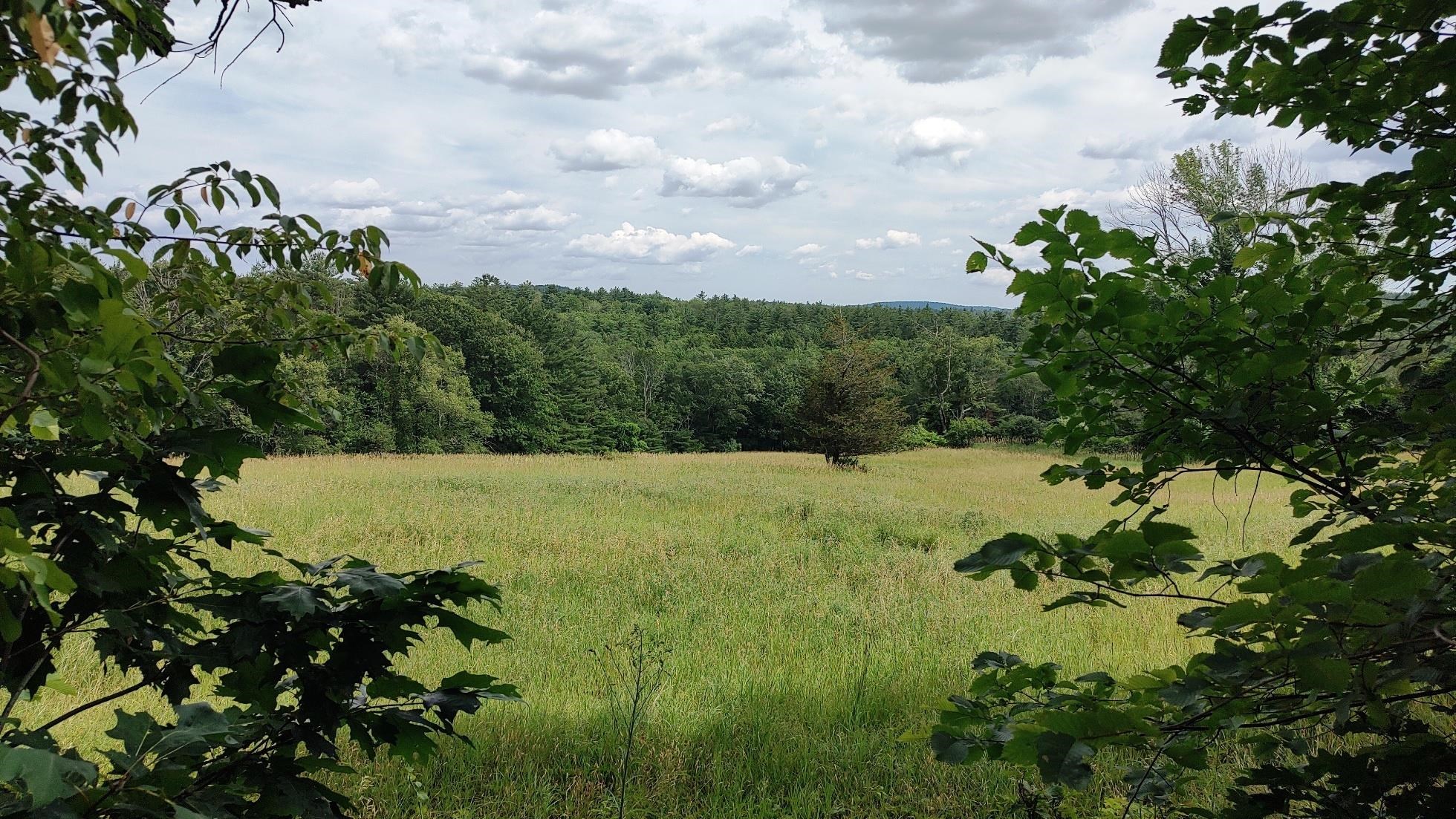 1-50-3 Colburn Road New Boston, NH 03070 - Photo 4 of 12