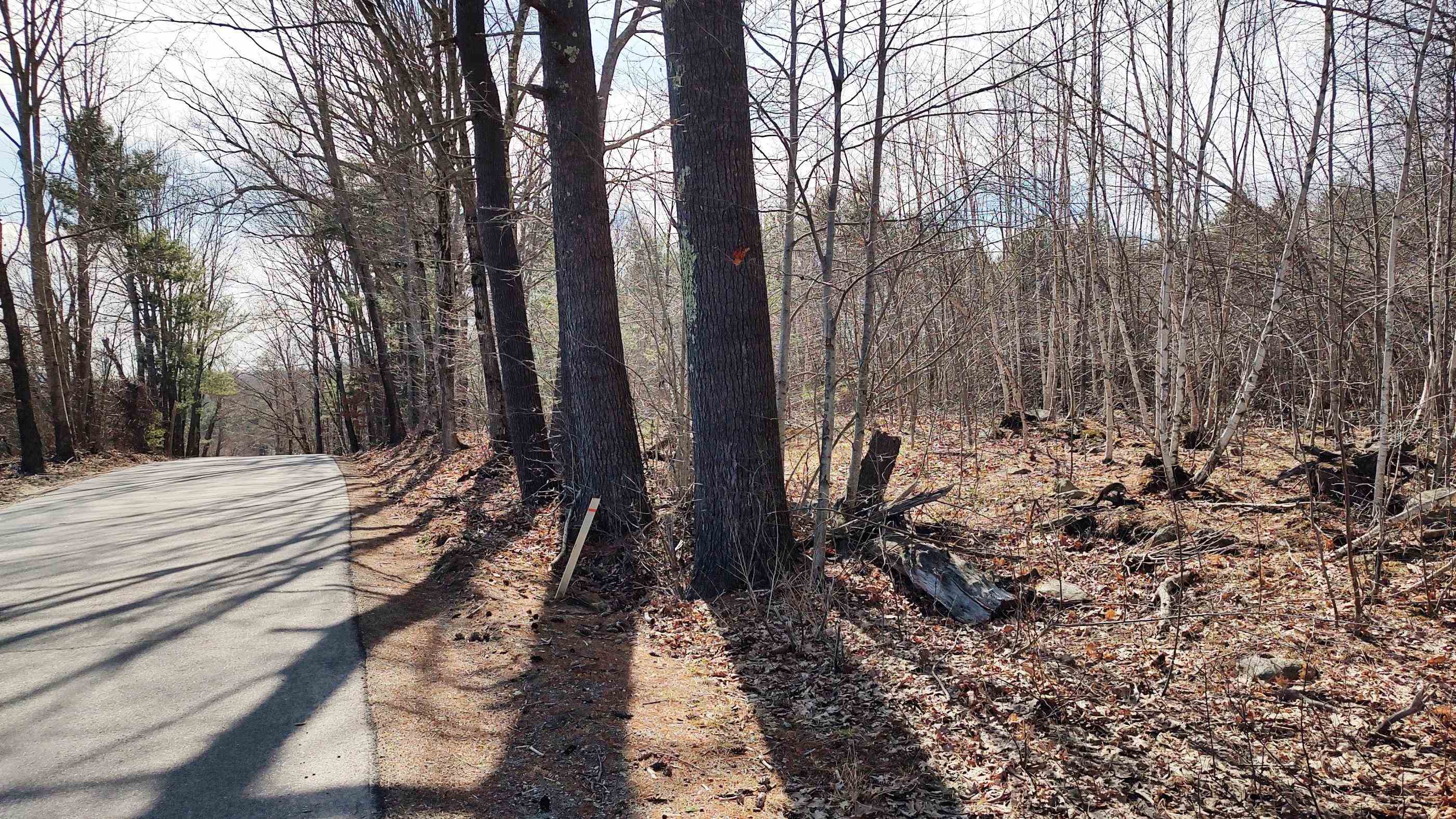 1-50-3 Colburn Road New Boston, NH 03070 - Photo 6 of 12