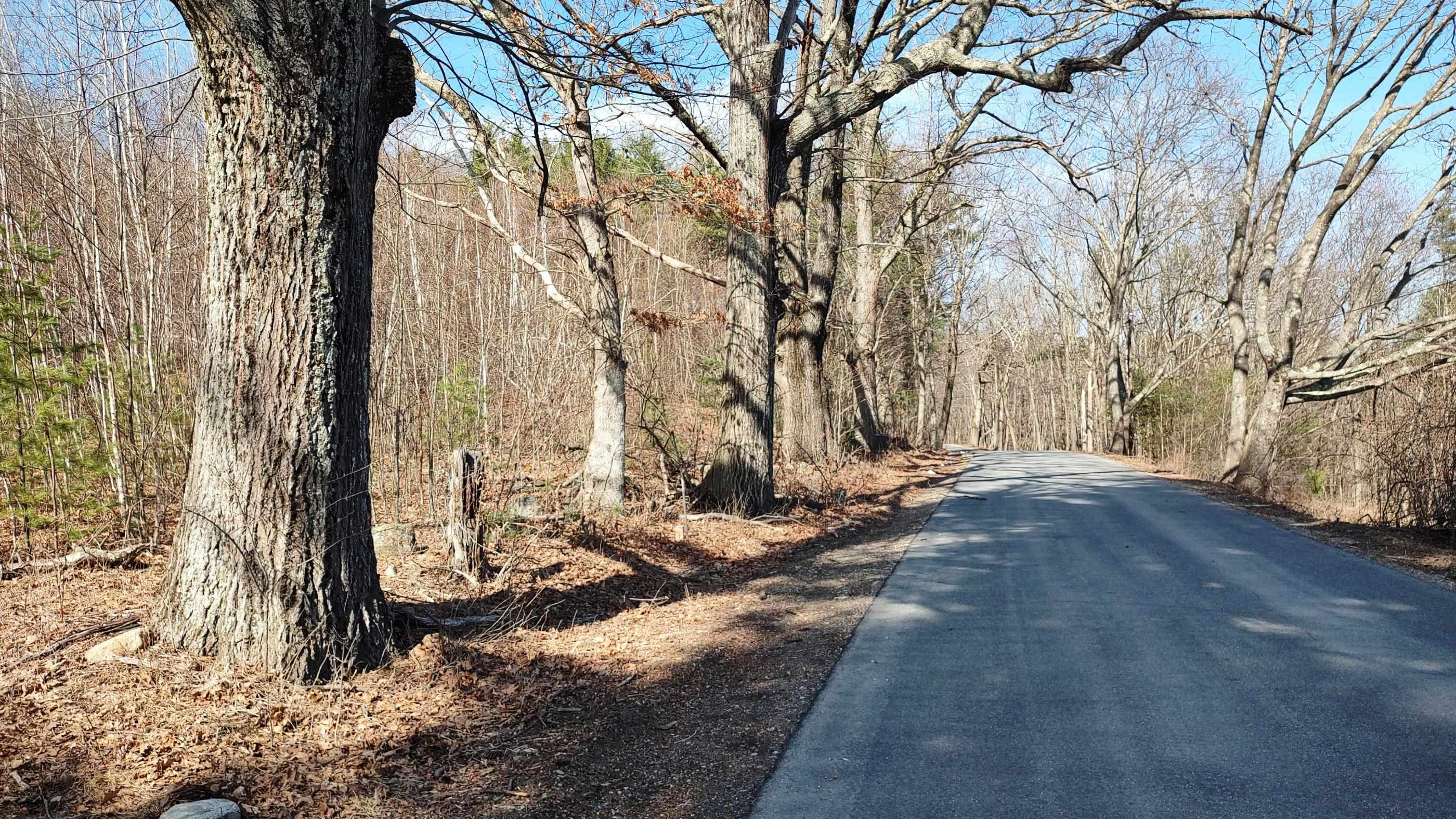 1-50-3 Colburn Road New Boston, NH 03070 - Photo 7 of 12