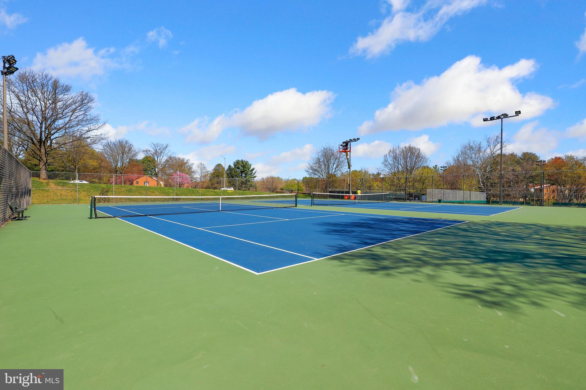 19302 Thomas Farm Road Montgomery Village, MD 20886 - Photo 29 of 36