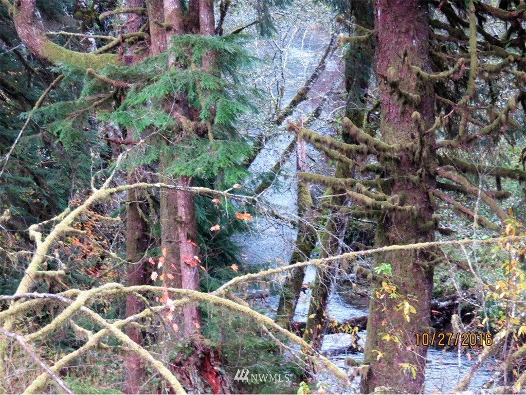 -xx Dixon Road Raymond, WA 98577 - Photo 1 of 4 Gallery Image 1