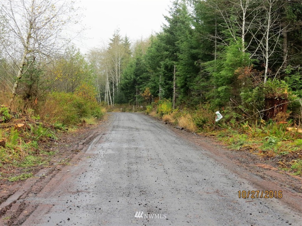 -xx Dixon Road Raymond, WA 98577 - Photo 3 of 4 Gallery Image 3