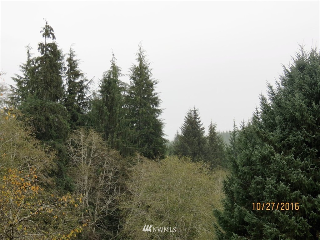 -xx Dixon Road Raymond, WA 98577 - Photo 4 of 4 Gallery Image 4